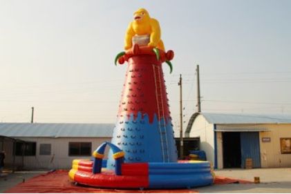 Inflatable Climbing Wall Price