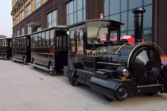 Diesel Road Trackless Train
