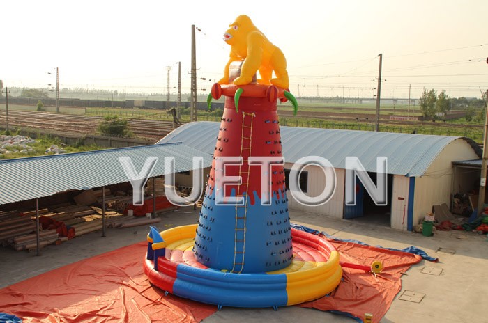 Inflatable Climbing Wall