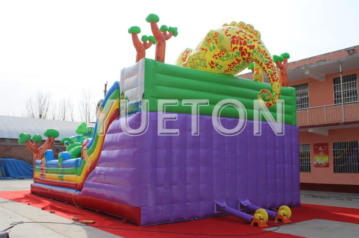Chameleon inflatable slide