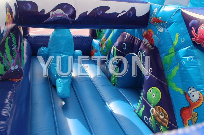 Ocean inflatable Bouncer