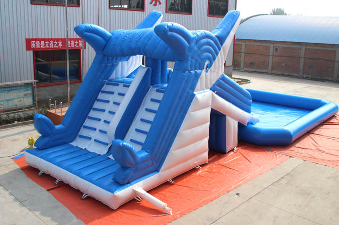 Dolphin Inflatable water slide and pool