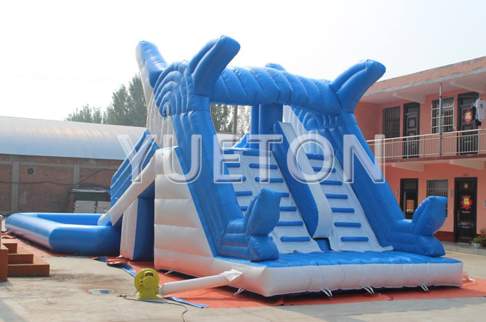 Dolphin Inflatable water slide and pool