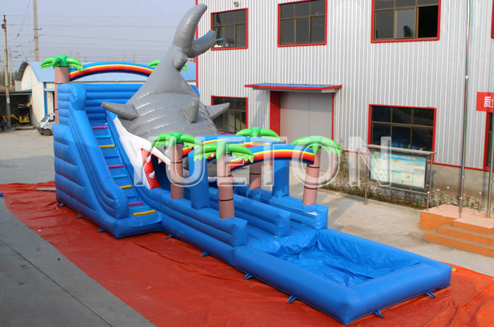 Shark Inflatable water slide and pool