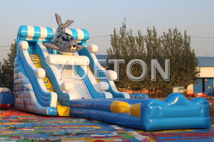 Inflatable Water Slide