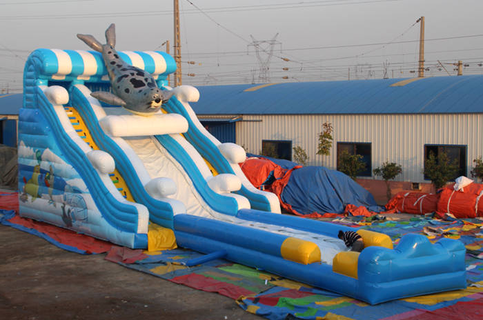 Inflatable Water Slide