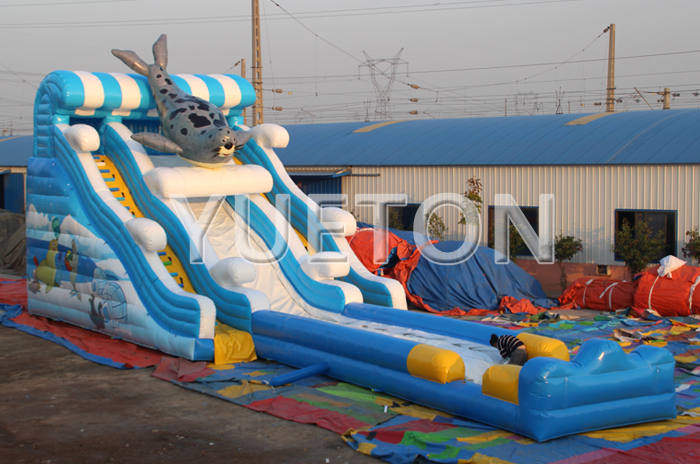 Inflatable Water Slide