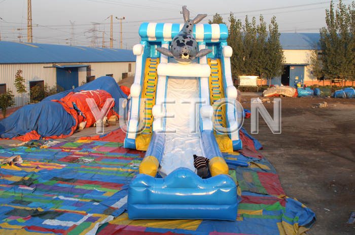 Inflatable Water Slide