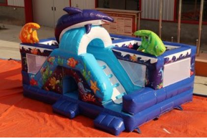 Ocean inflatable Bouncer