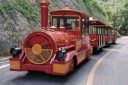 Tren Sin Rieles Diésel para Carretera - Trenes de atracciones