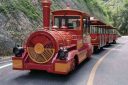 Tren Sin Rieles Diésel para Carretera - Trenes de atracciones (foto 2 de 4)