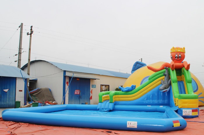 octopus  Inflatable water slide with pool