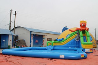 Tobogán acuático hinchable pulpo - Atracciones inflables