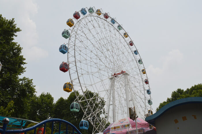 50m Ferris Wheel Ride