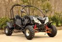 ATV Dune Buggy - Productos