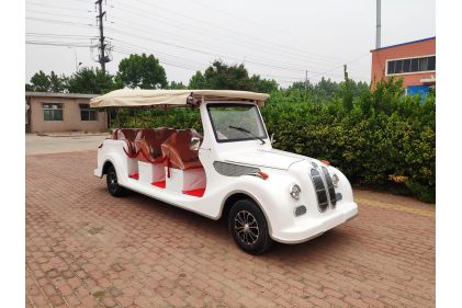 Double Bus Tourist Train