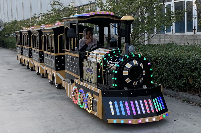 Tren sin rieles eléctrico - Trenes de atracciones (foto 3 de 4)
