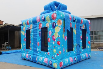 Inflatable Bouncer