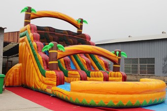Inflatable Water Slide