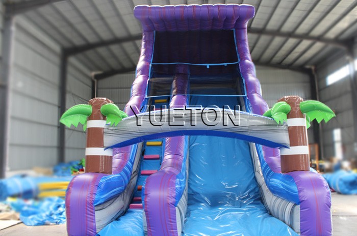 Inflatable Water Slide