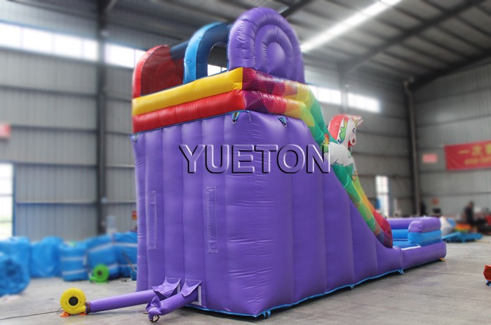 Inflatable Water Slide