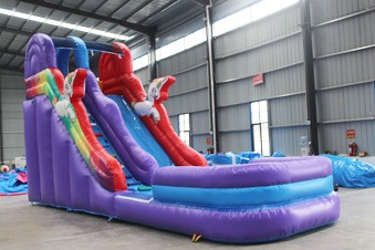 Inflatable Water Slide