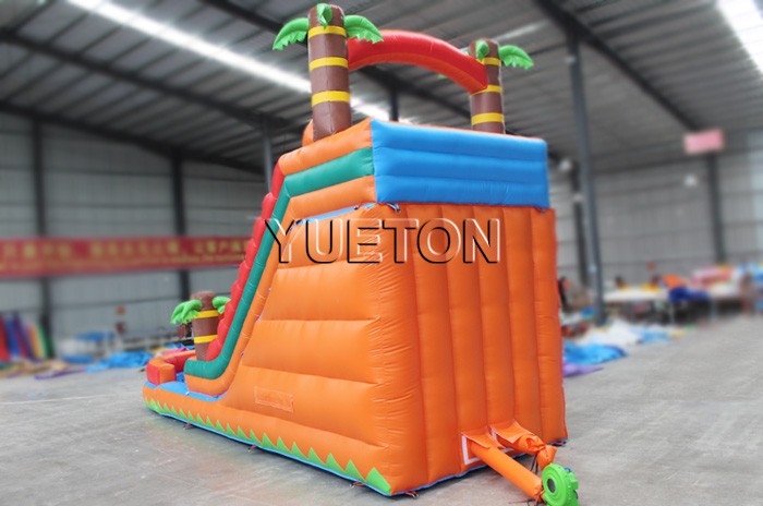 Inflatable Water Slide