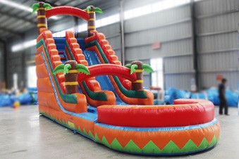 Inflatable Water Slide