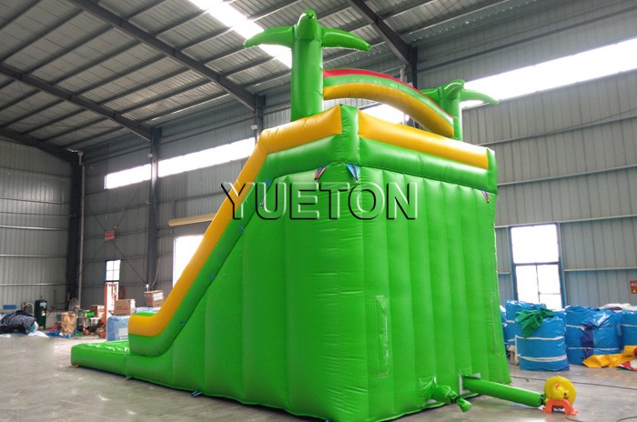 Inflatable Water Slide