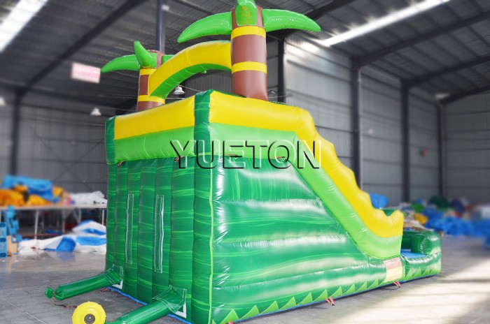 Inflatable Water Slide