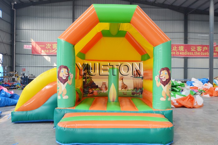 Inflatable Bouncer