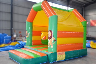 Inflatable Bouncer