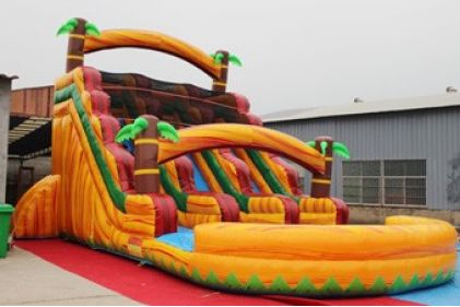 Inflatable Water Slide