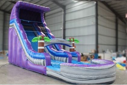 Inflatable Water Slide