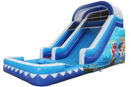 Inflatable Water Slide