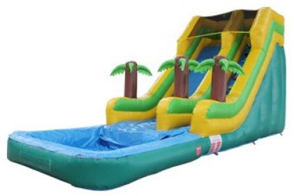 Inflatable Water Slide