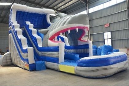 Crocodile Inflatable Slide